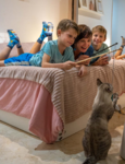 Spox Sox Kids Cats
