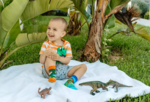 Spox Sox Kids Dinosaurs