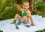 Spox Sox Kids Dinosaurs