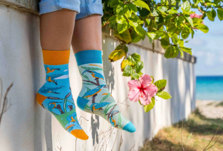 Spox Sox Kingfisher