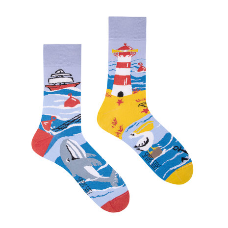 Spox Sox Sea Coast