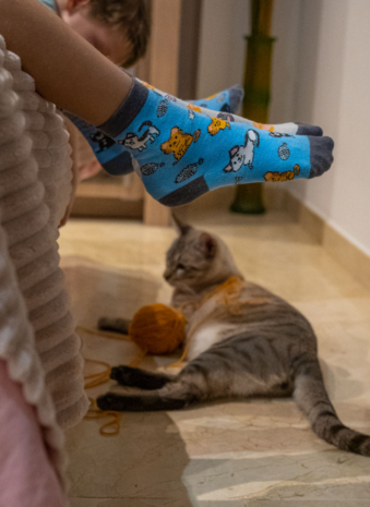 Spox Sox Kids Cats