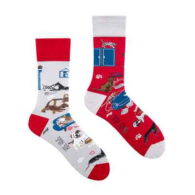 Mismatched Sokken Cats & Dogs