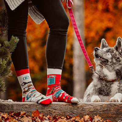 Mismatched Sokken Cats & Dogs