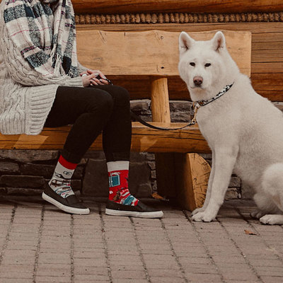Mismatched Sokken Cats & Dogs
