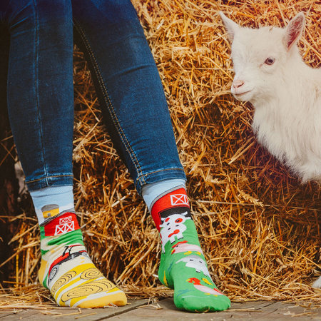 Mismatched Sokken Boerderij