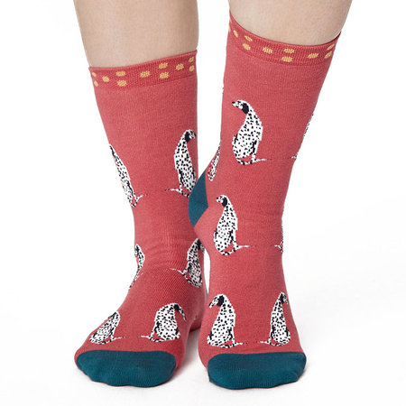 Bamboe Sokken Giftbox Dames Honden