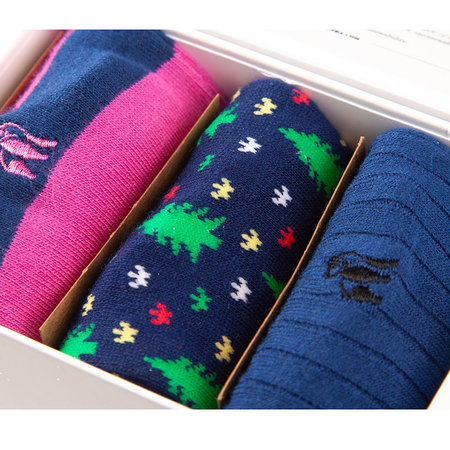 Bamboe Sokken Giftbox Heren Kerst Blauw