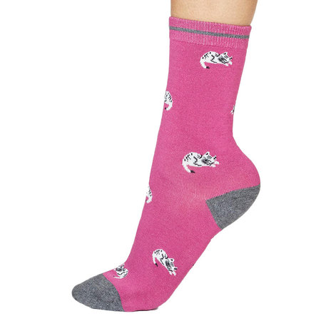 Bamboe Damessokken Lula Katten in Violet Pink
