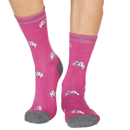 Bamboe Damessokken Lula Katten in Violet Pink