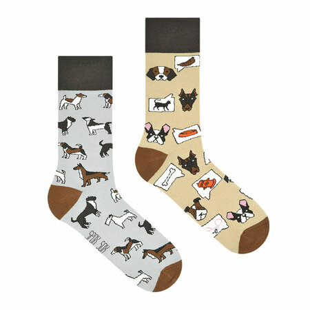 Mismatched Sokken Hond