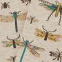 Sokken Insecten